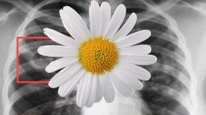 Символ помощи и надежды