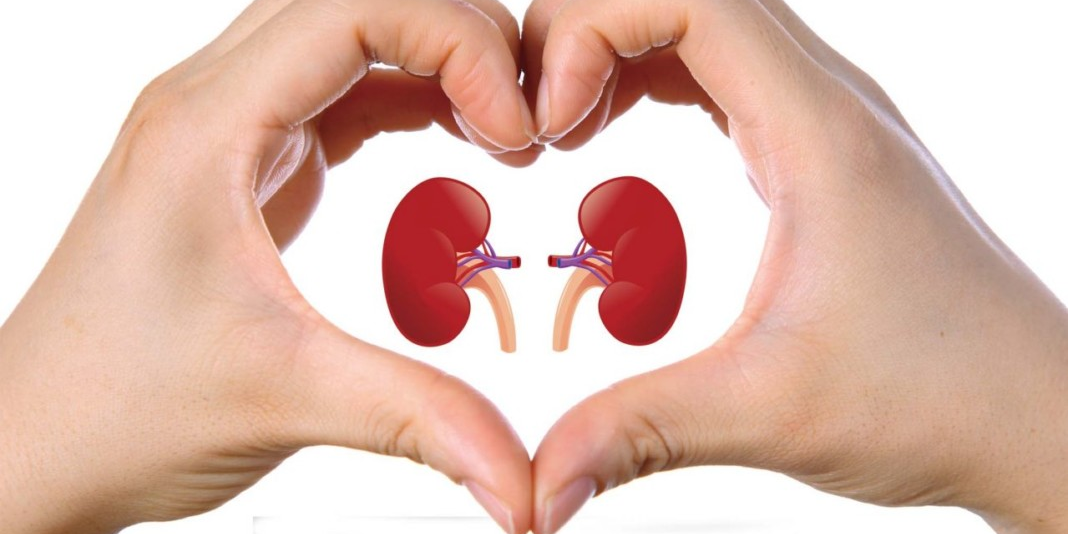 В зоне особого внимания