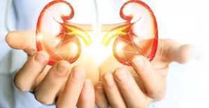 Здоровье детских почек – в руках взрослых